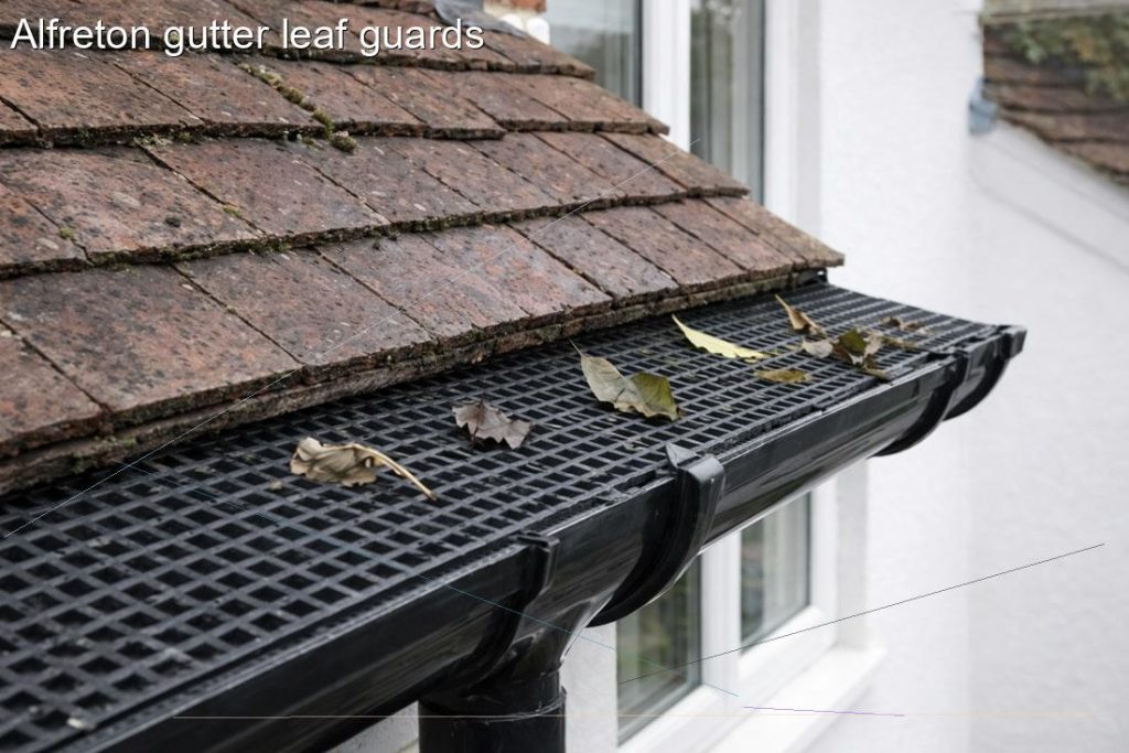 Alfreton gutter leaf guards