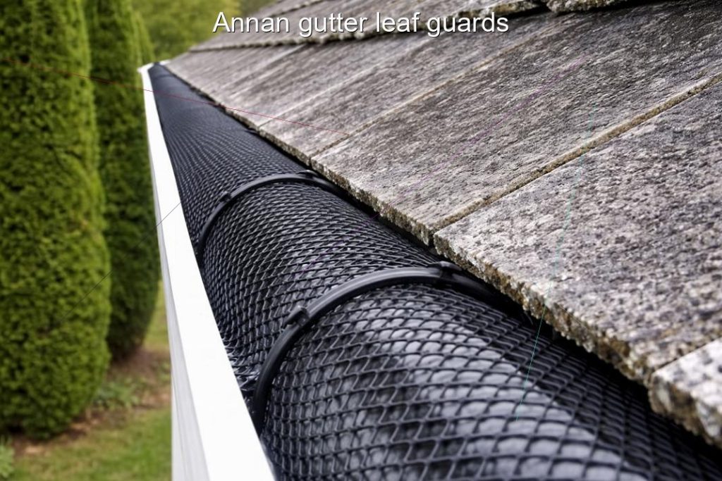 Annan gutter leaf guards