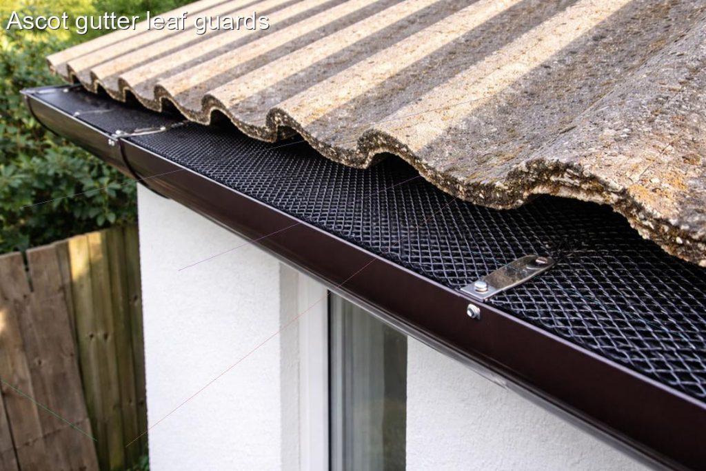 Ascot gutter leaf guards