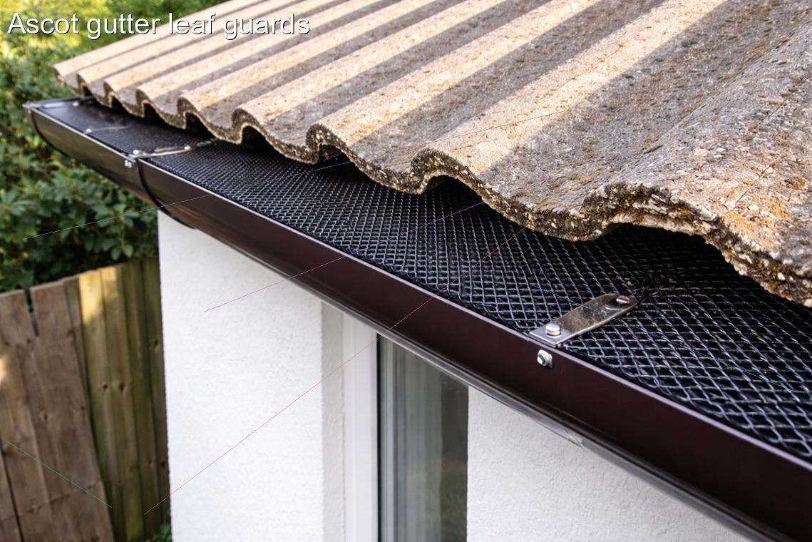 Ascot gutter leaf guards