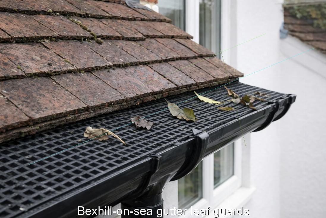 Bexhill on sea gutter leaf guards