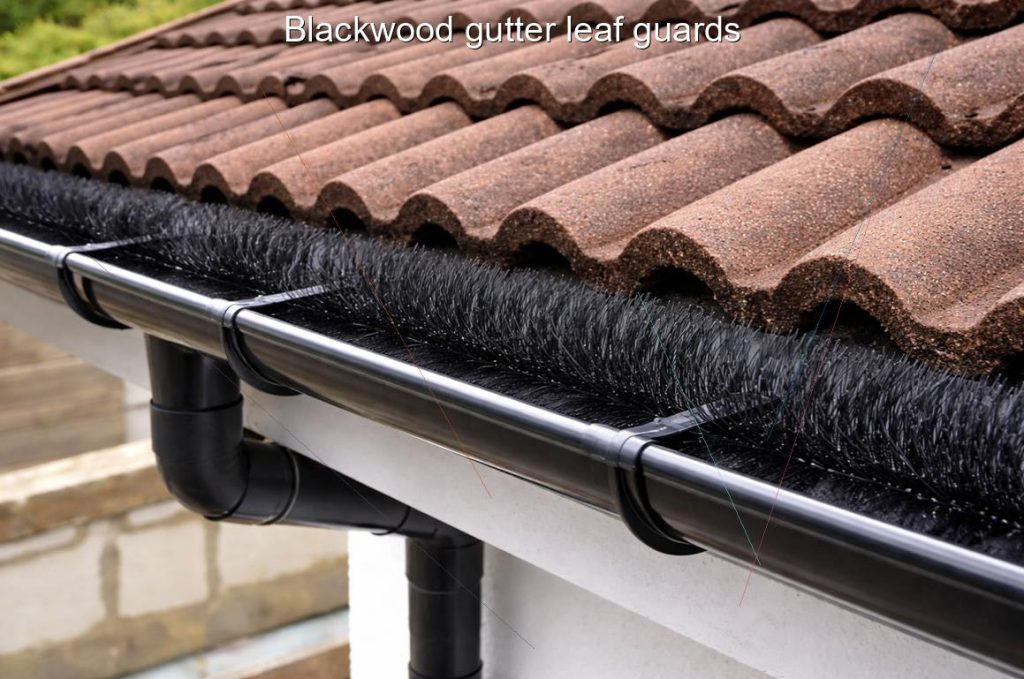 Blackwood gutter leaf guards