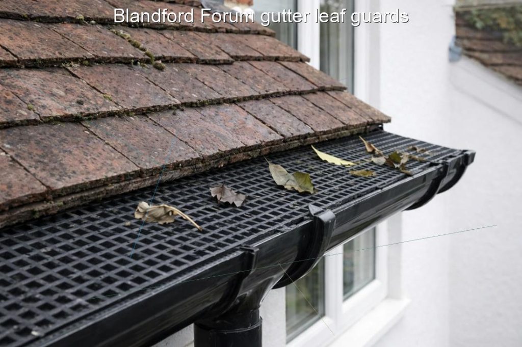Blandford Forum gutter leaf guards