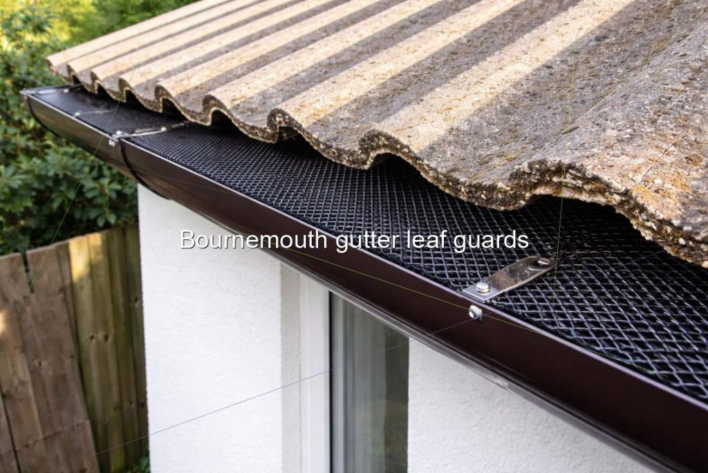 Bournemouth gutter leaf guards