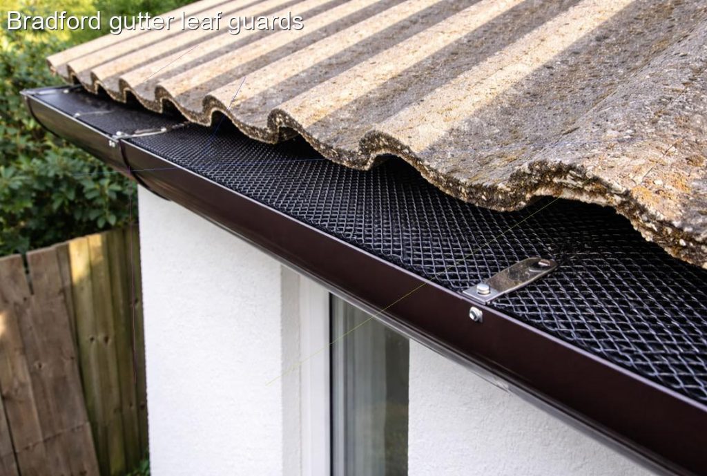 Bradford gutter leaf guards