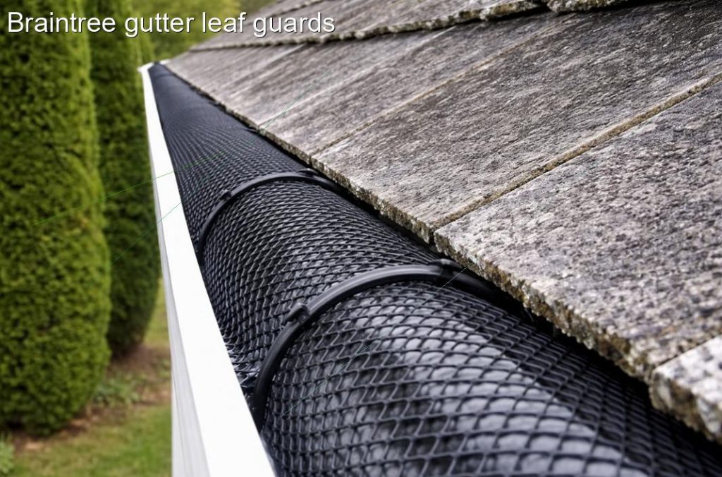 Braintree gutter leaf guards