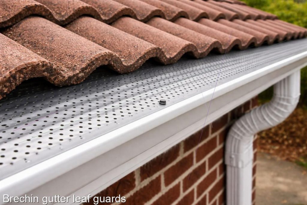 Brechin gutter leaf guards