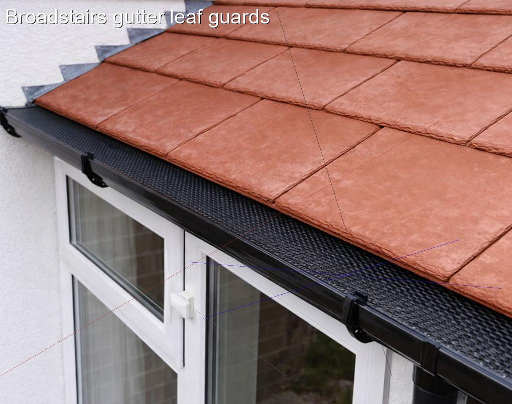 Broadstairs gutter leaf guards