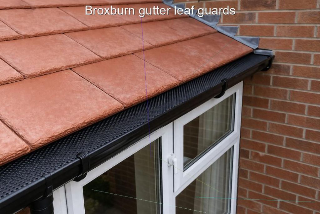 Broxburn gutter leaf guards