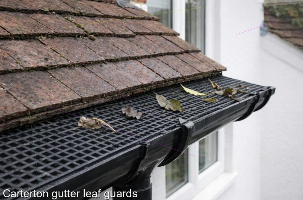 Carterton gutter leaf guards