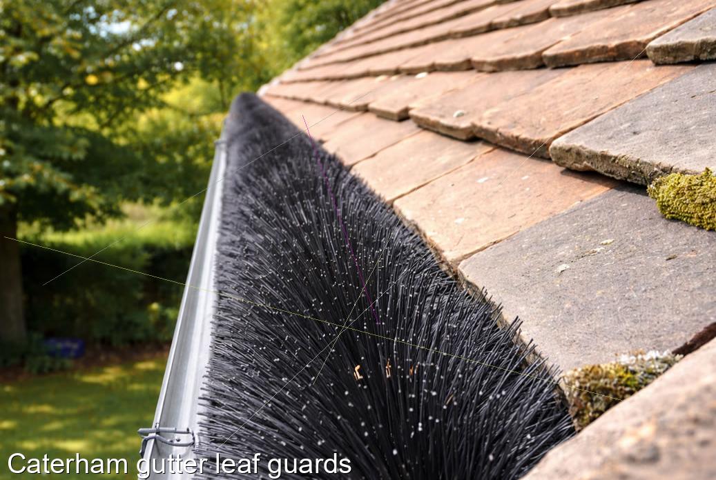Caterham gutter leaf guards