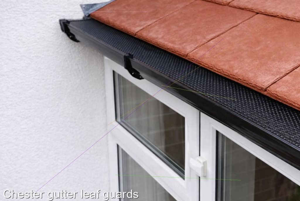 Chester gutter leaf guards