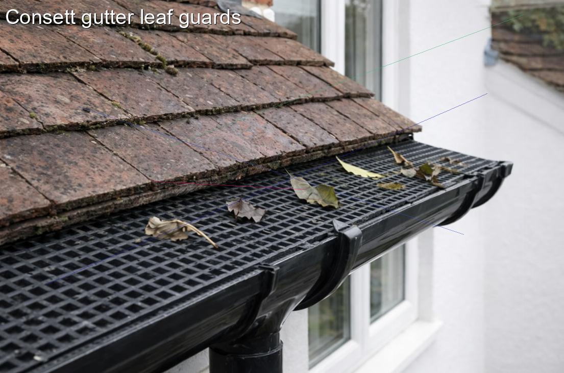 Consett gutter leaf guards