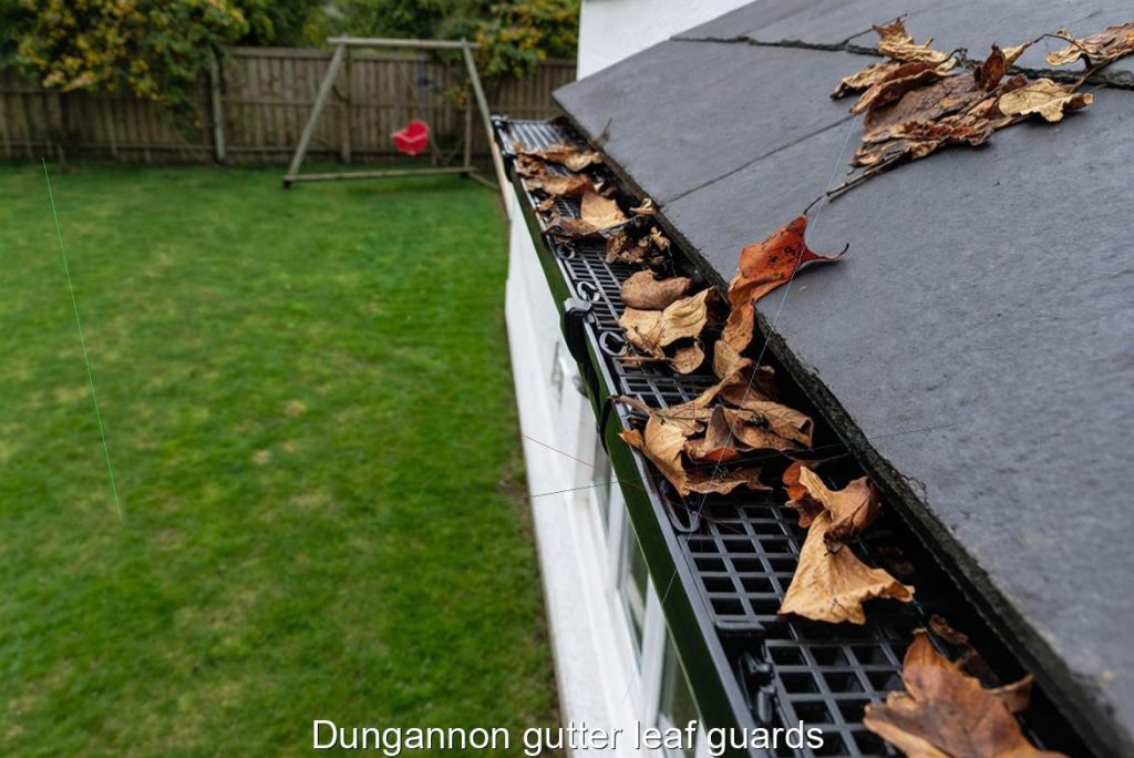 Dungannon gutter leaf guards
