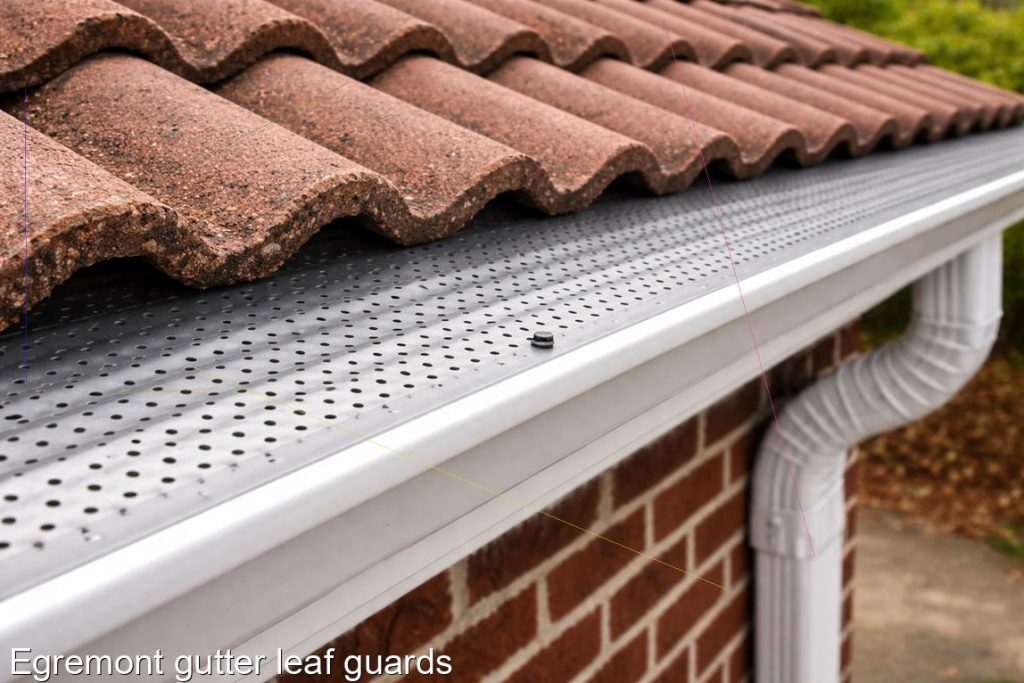 Egremont gutter leaf guards