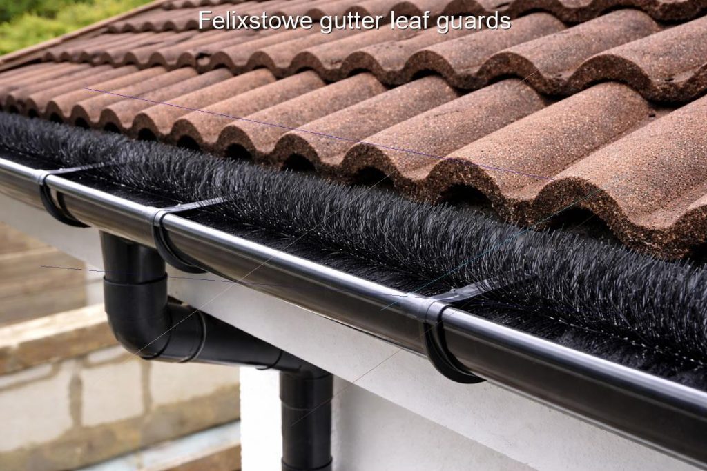 Felixstowe gutter leaf guards