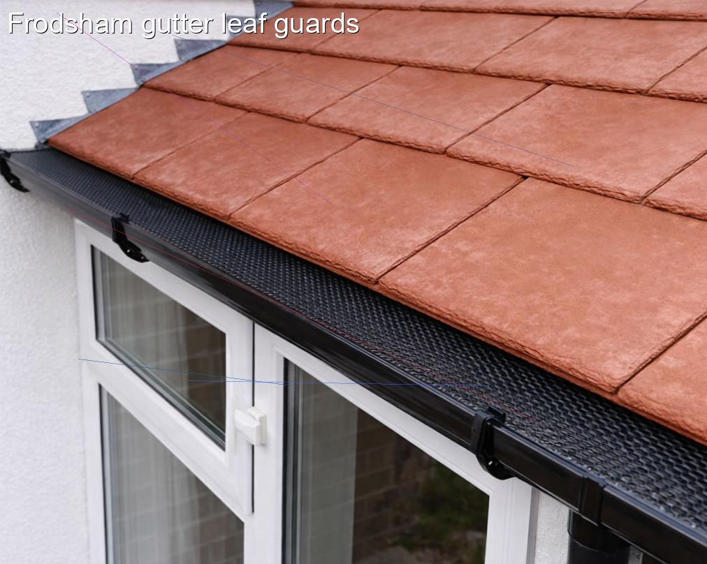 Frodsham gutter leaf guards