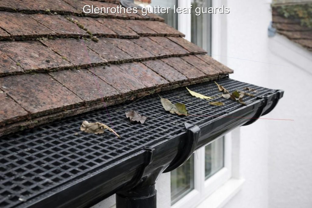 Glenrothes gutter leaf guards