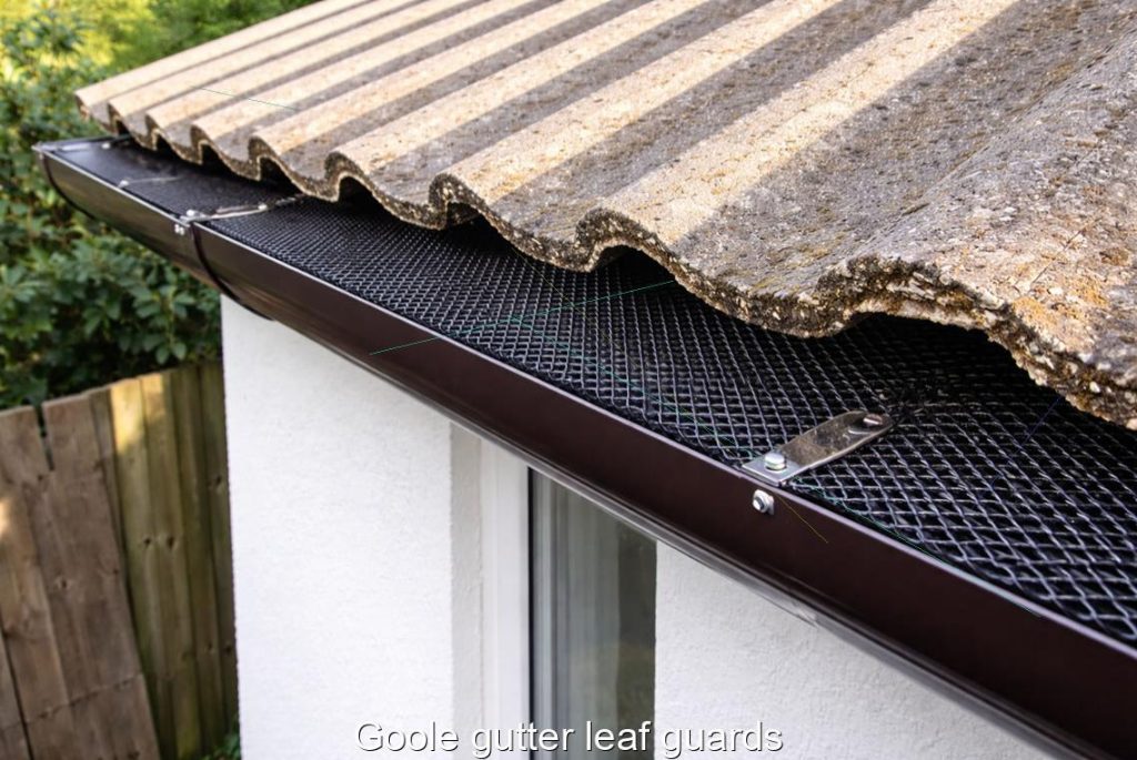 Goole gutter leaf guards