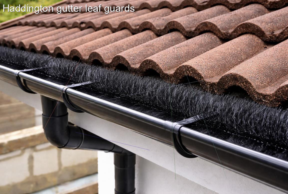 Haddington gutter leaf guards