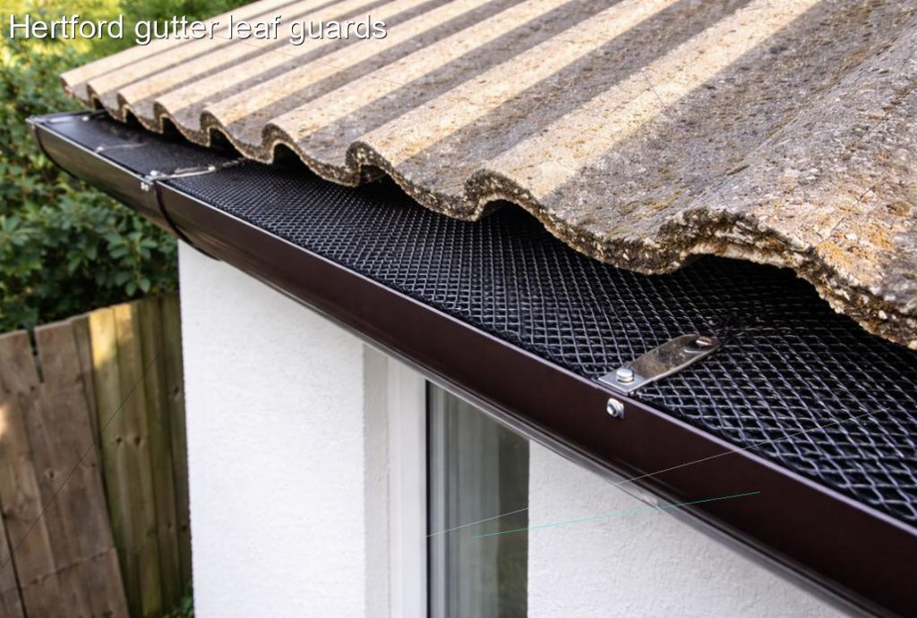 Hertford gutter leaf guards