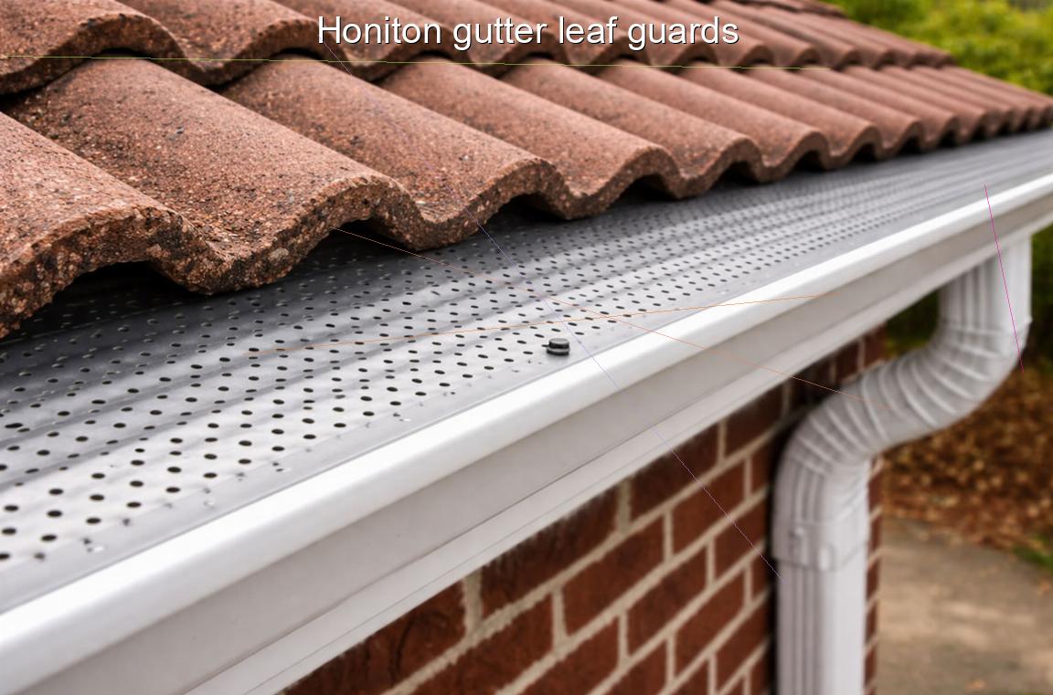 Honiton gutter leaf guards