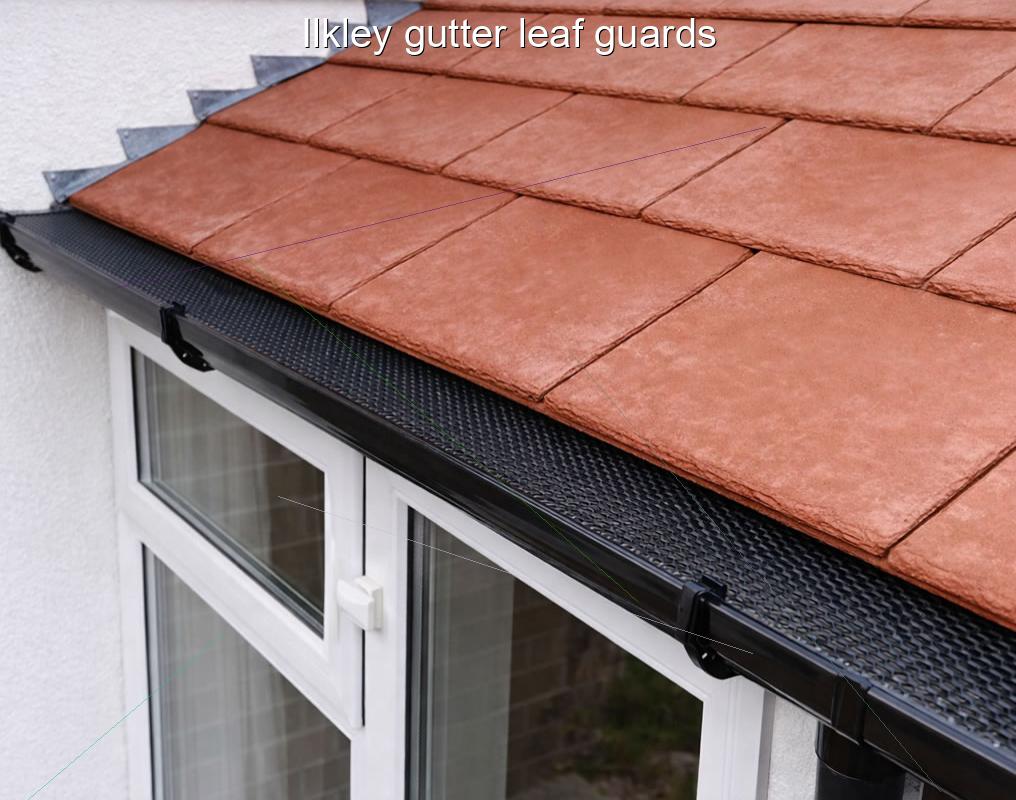 Ilkley gutter leaf guards