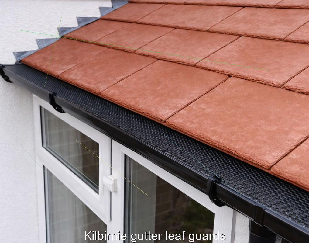 Kilbirnie gutter leaf guards