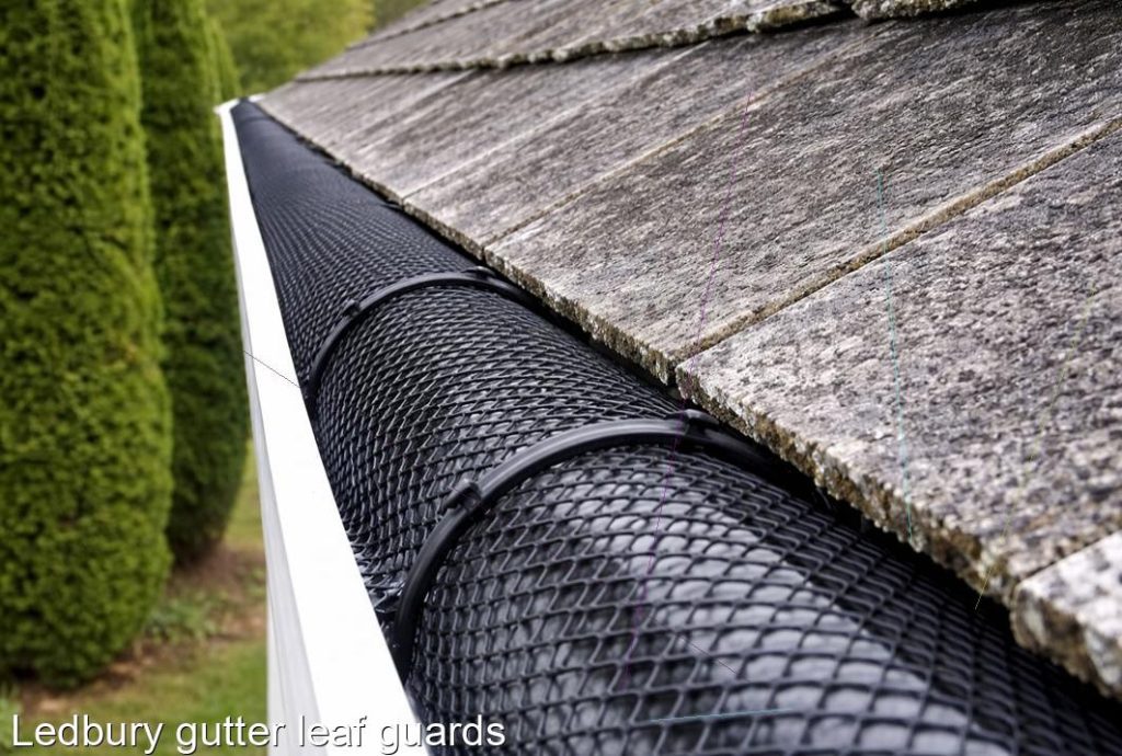 Ledbury gutter leaf guards