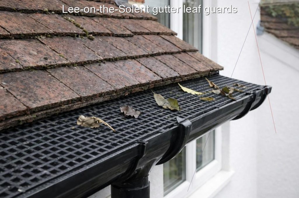 Lee on the Solent gutter leaf guards