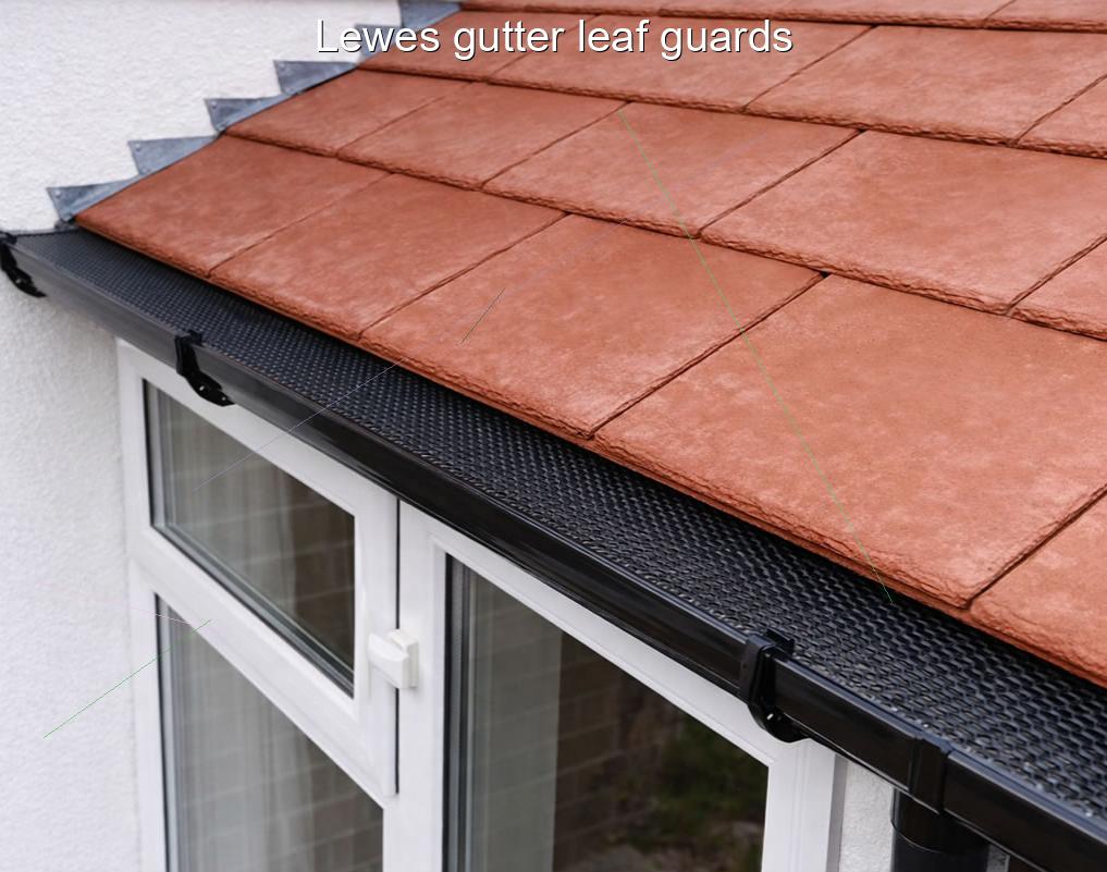 Lewes gutter leaf guards