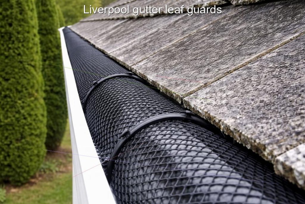 Liverpool gutter leaf guards