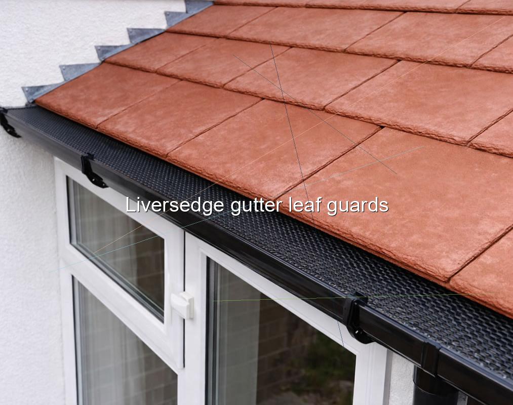 Liversedge gutter leaf guards