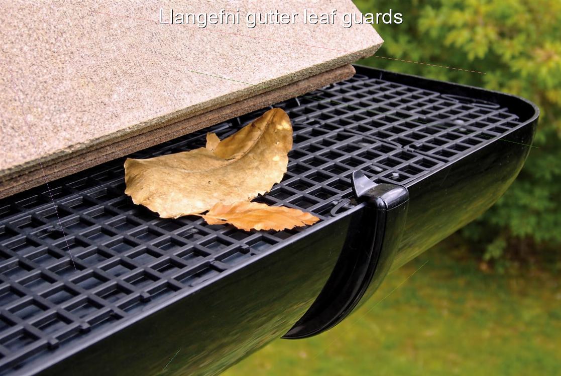 Llangefni gutter leaf guards