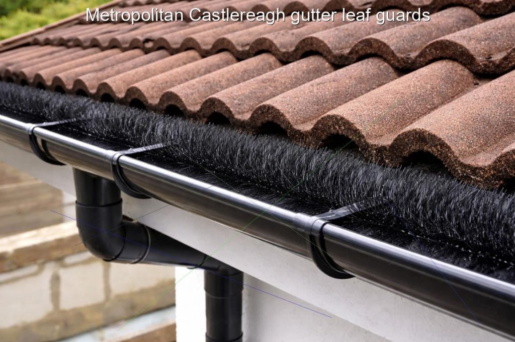 Metropolitan Castlereagh gutter leaf guards
