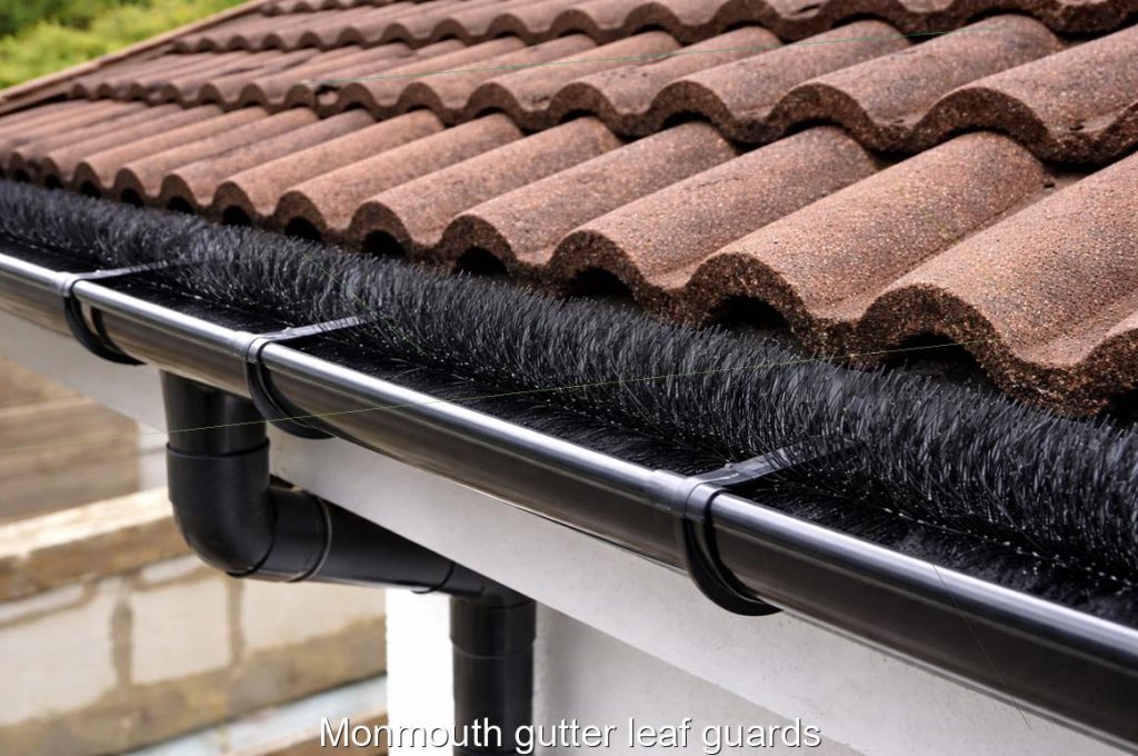 Monmouth gutter leaf guards