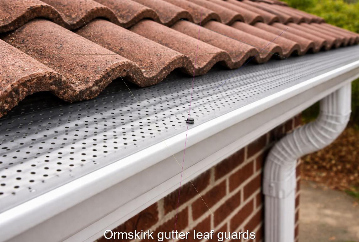 Ormskirk gutter leaf guards