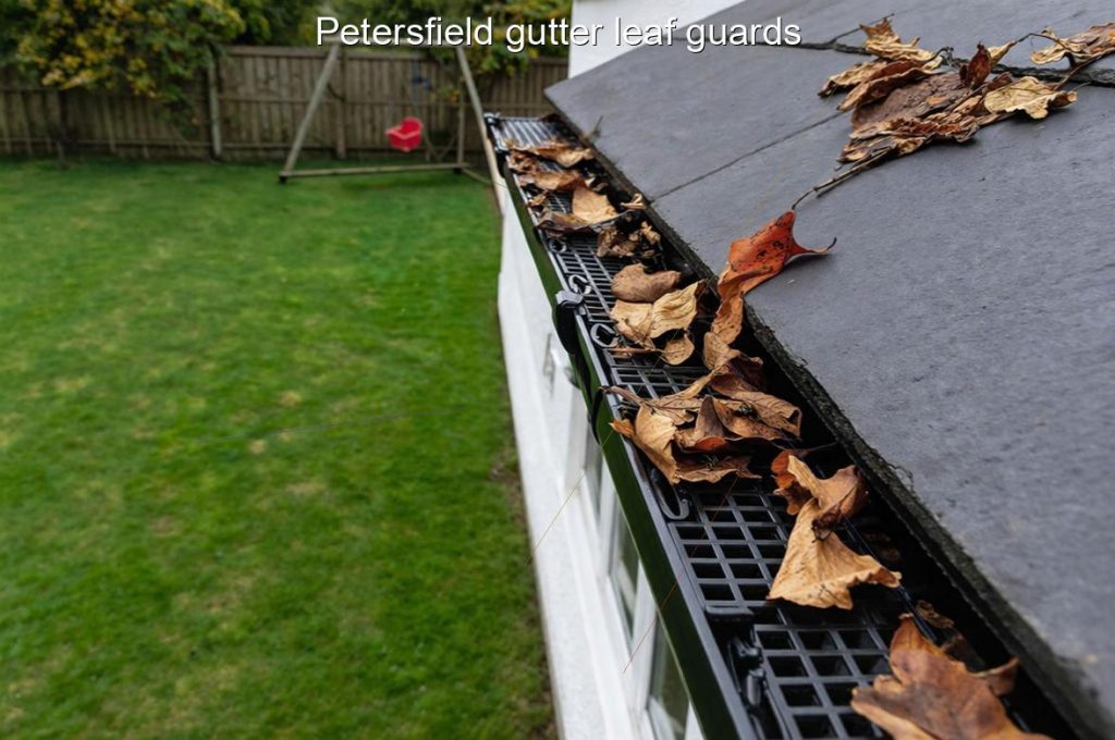 Petersfield gutter leaf guards
