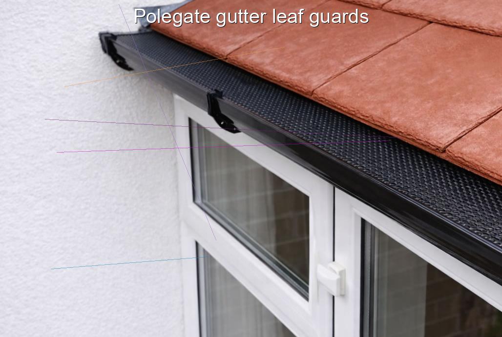 Polegate gutter leaf guards