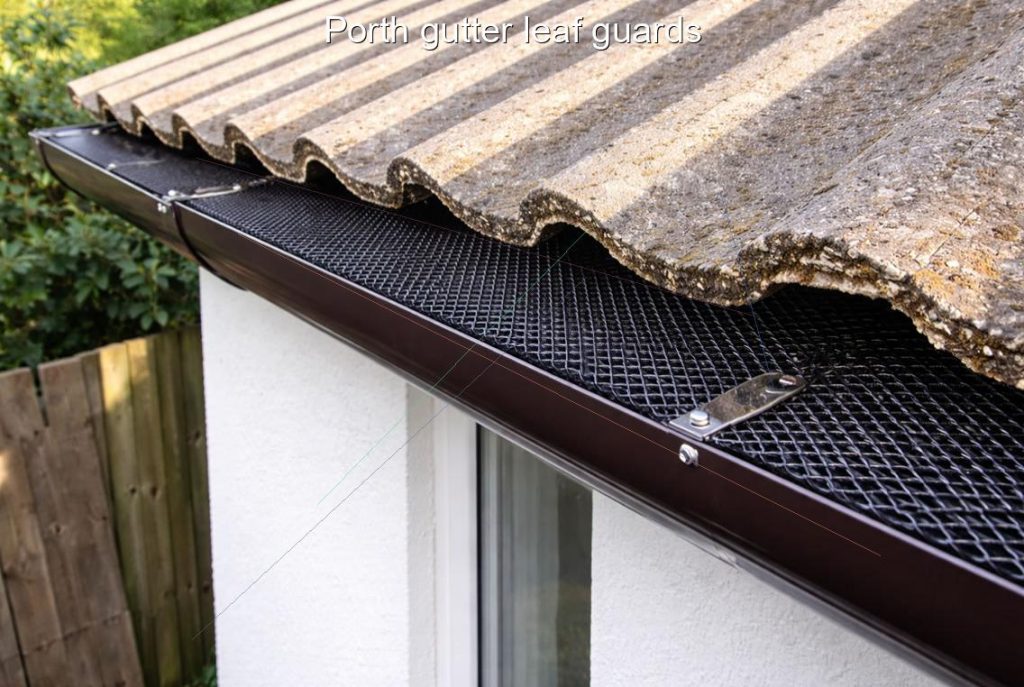Porth gutter leaf guards