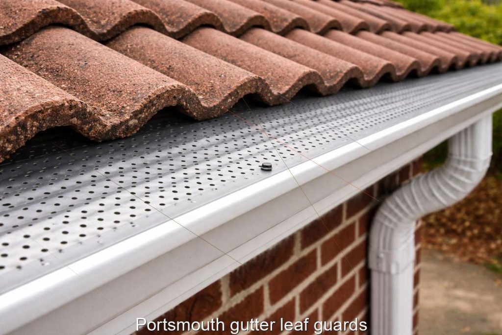 Portsmouth gutter leaf guards
