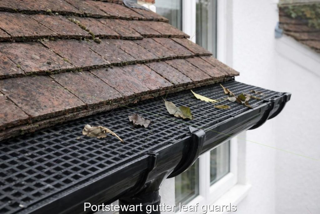 Portstewart gutter leaf guards