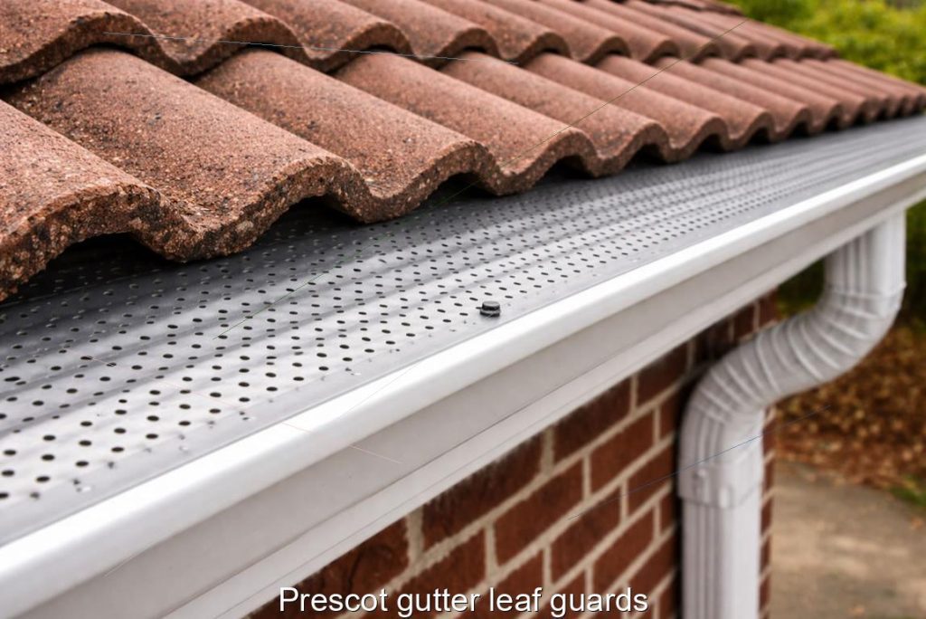 Prescot gutter leaf guards