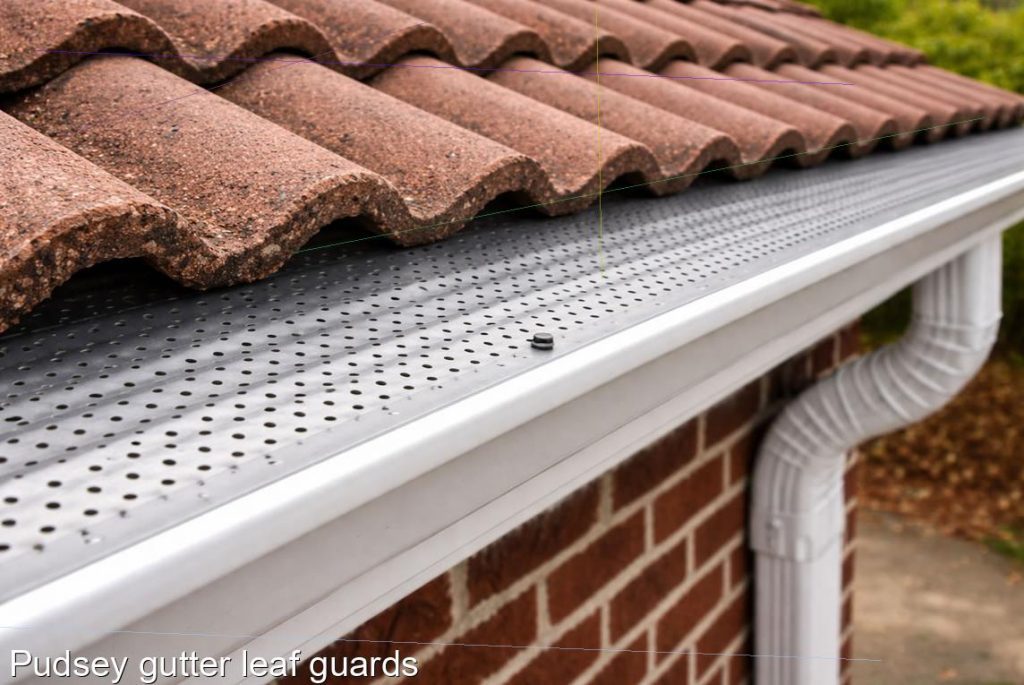 Pudsey gutter leaf guards
