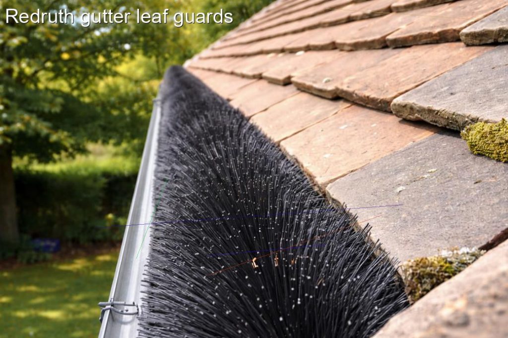 Redruth gutter leaf guards