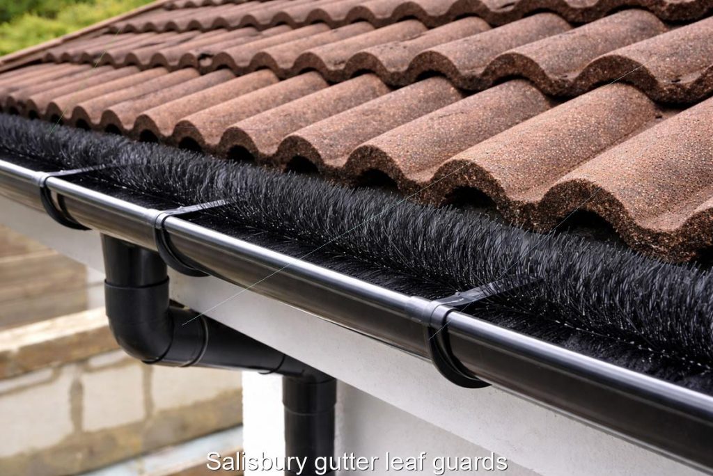 Salisbury gutter leaf guards