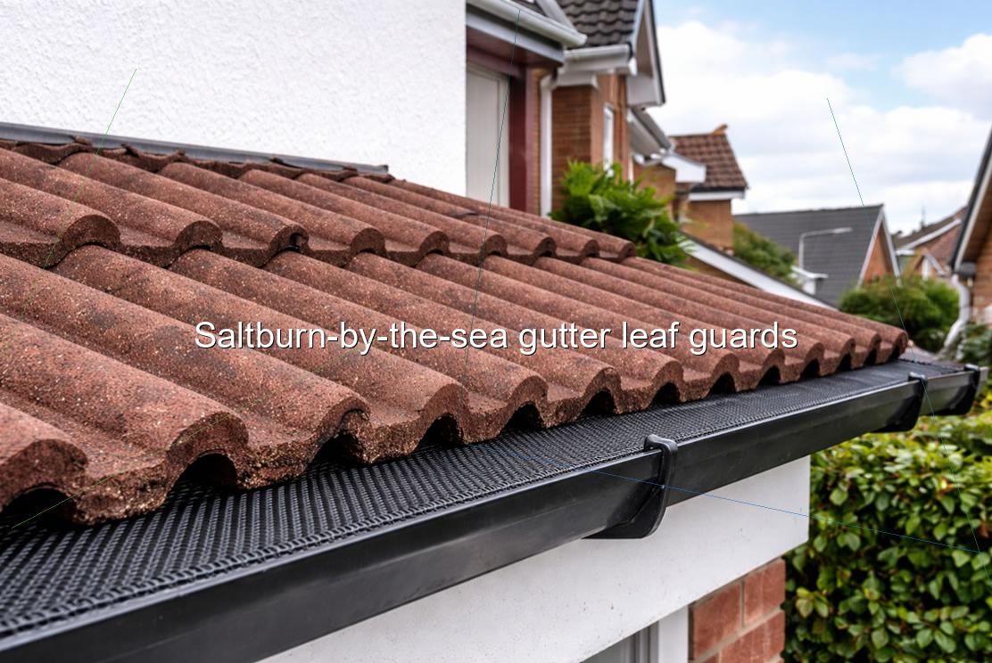 Saltburn by the sea gutter leaf guards