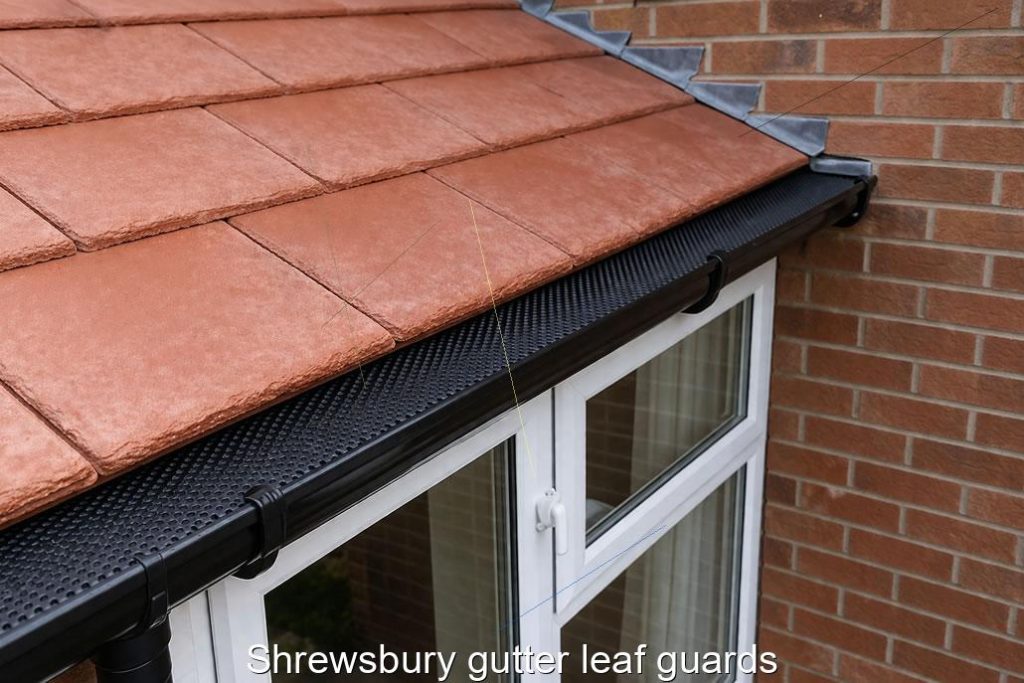 Shrewsbury gutter leaf guards
