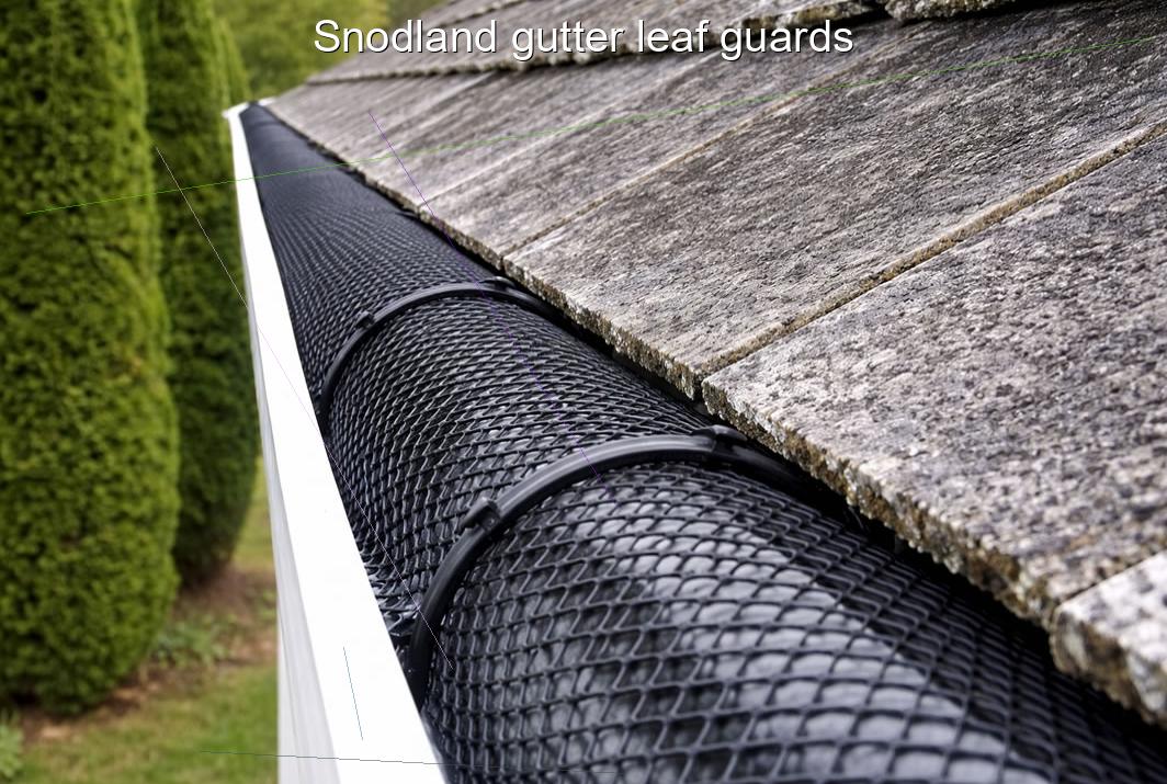 Snodland gutter leaf guards