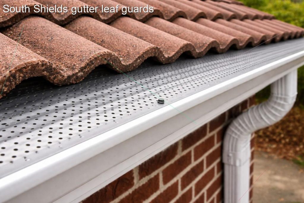 South Shields gutter leaf guards